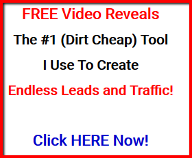 leadsleap gives you free traffic or paid ads