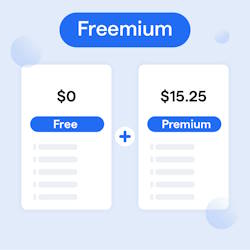 Freemium Model image